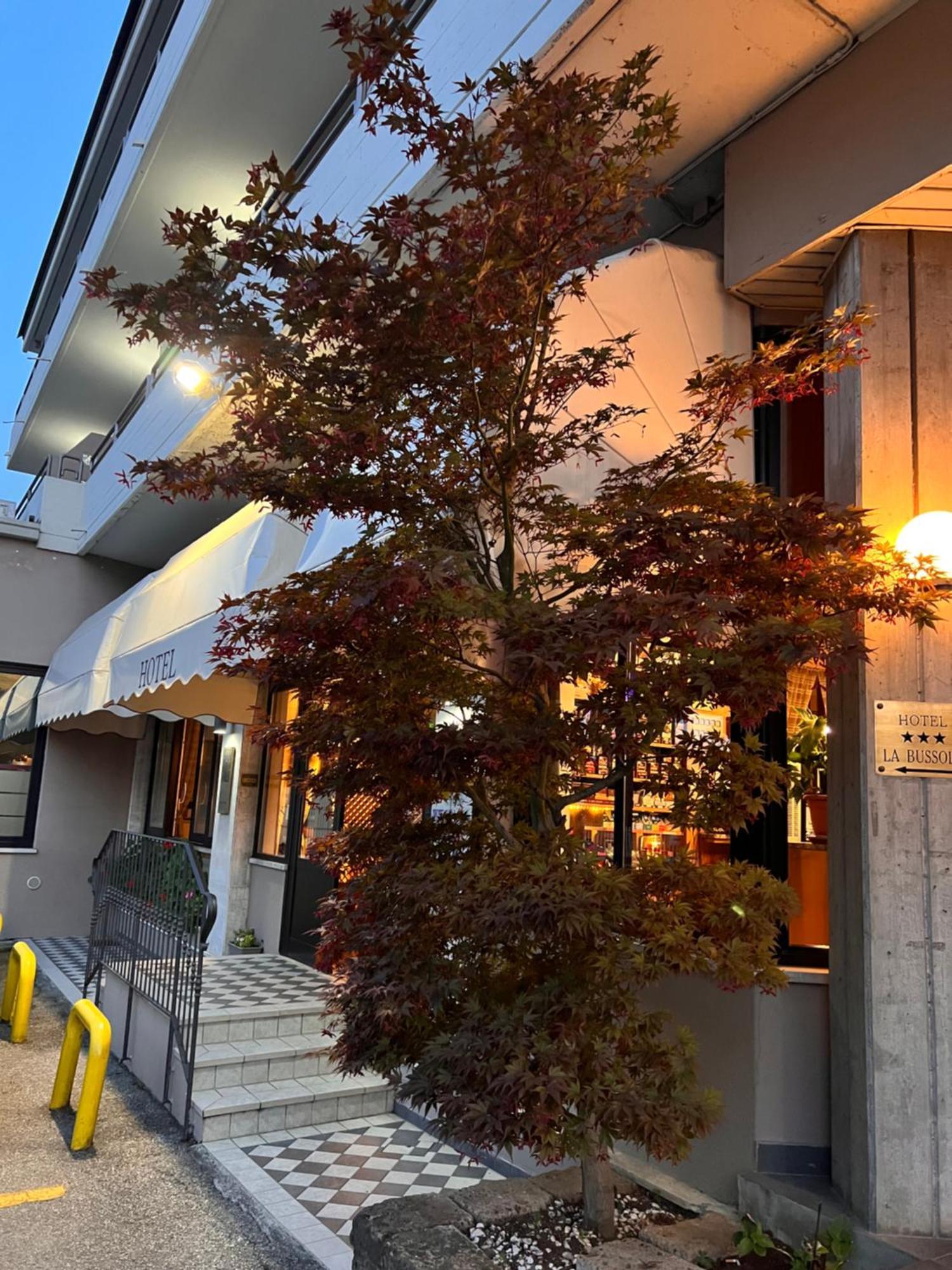 Hotel La Bussola Padenghe sul Garda Exterior photo